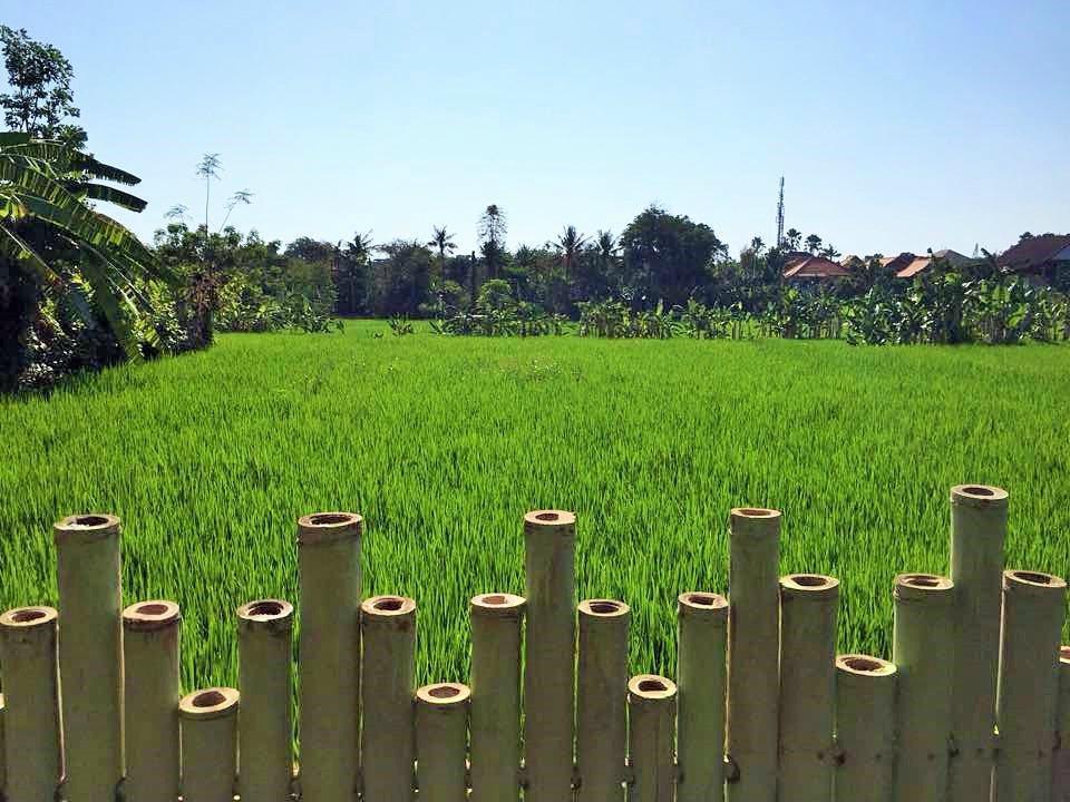 Bali Green Hostel Seminyak Exteriör bild
